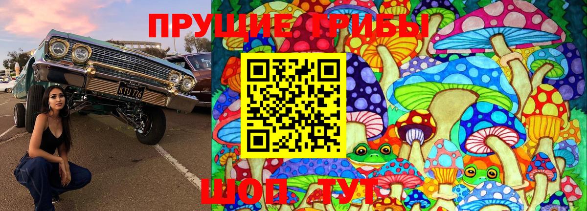 Вольск  Галлюциногенные грибы Psilocybe  Вход с VPN 